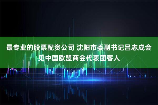 最专业的股票配资公司 沈阳市委副书记吕志成会见中国欧盟商会代表团客人