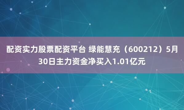 配资实力股票配资平台 绿能慧充（600212）5月30日主力资金净买入1.01亿元